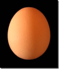 DOMINGO, 24 DE ABRIL DE 2011. Dar golpes al orgullo