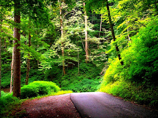 Mayo 18, 2011. Semana de Hod. Jesed de Hod.