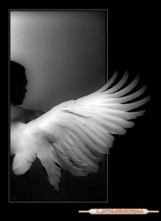 JUEVES, 19 DE MAYO DE 2011 Enfrentemos esto