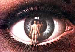 DOMINGO, 29 DE MAYO DE 2011. El dolor esconde poder