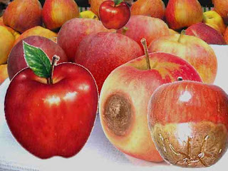 Diario de Kabbalah. Las malas compañías. Junio 21, 2011.