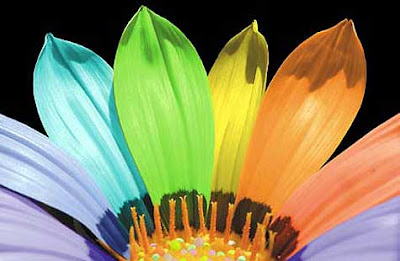 MIÉRCOLES, 24 DE AGOSTO DE 2011 Sabio y afectuoso