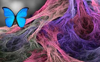 Periodo de prueba hoy