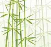 MARTES, 4 DE OCTUBRE DE 2011 Los pequeños obstáculos de la vida.