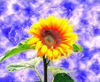 JUEVES, 10 DE NOVIEMBRE DE 2011 Haz el resto