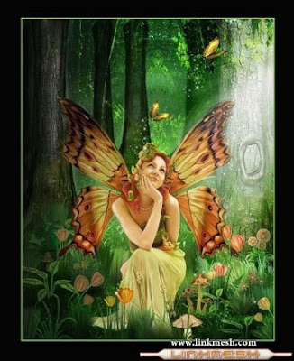 MIÉRCOLES, 30 DE NOVIEMBRE DE 2011 Deja de tener sentido