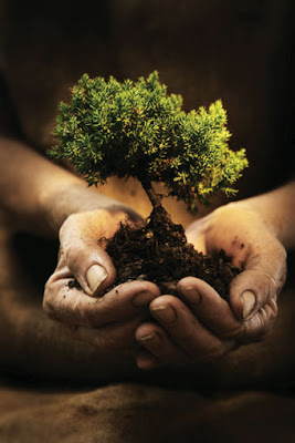 SÁBADO, 17 DE DICIEMBRE DE 2011 El final del juego de la culpa