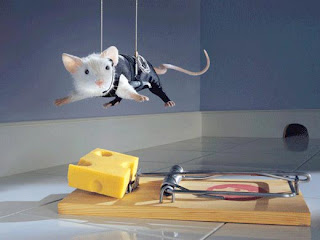 SÁBADO, 7 DE ENERO DE 2012 Encuentra tu lugar.