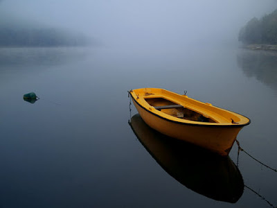 LUNES, 6 DE FEBRERO DE 2012 Ejercita tu apreciación