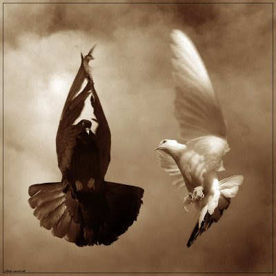 SÁBADO, 17 DE MARZO DE 2012  Como a ti mismo.