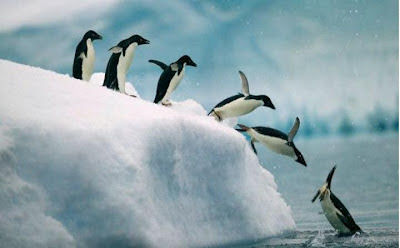 Sábado, 28 de abril de 2012  Sacudidas