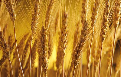 Lunes, 09 de abril de 2012 Otra vez no.