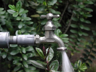 Lunes, 7 de mayo de 2012. Batalla en la mente. (y martes 8)