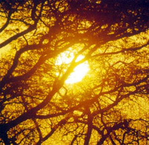 Jueves, 17 de mayo de 2012. Definición de felicidad según la Kabbalah