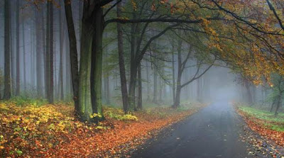 Lunes, 14 de mayo de 2012  Sin malas experiencias