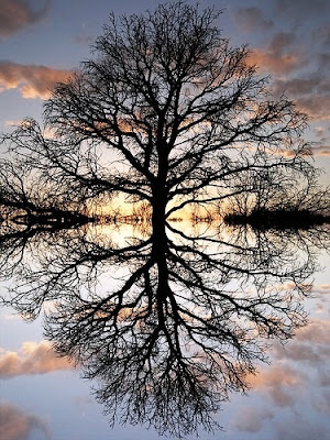 Sábado, 30 de junio de 2012. Libre albedrío