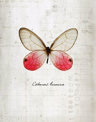 Martes 31 Julio, 2012. Va’etchanan. El poder de romper decretos.