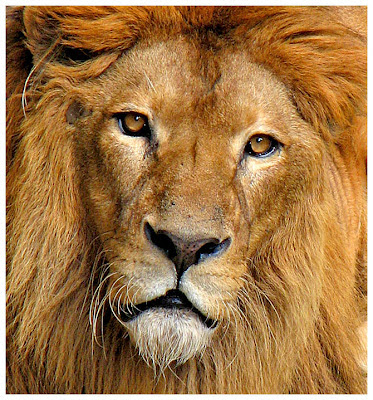 Miércoles, 18 de julio de 2012 Experiencia cercana a la muerte.