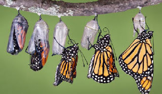 Lunes, 13 de agosto de 2012. Lo que hacemos