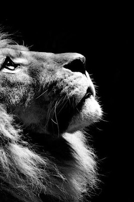 Lunes, 6 de agosto de 2012 ¿Estás escuchando?