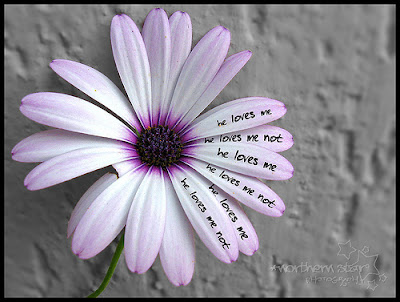 Miércoles, 1 de agosto de 2012. Háblame