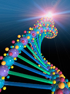 Viernes, 28 de septiembre de 2012 Sin ataduras.