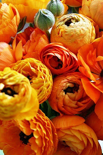 Lunes Sept 3, 2012. A mitad del camino.