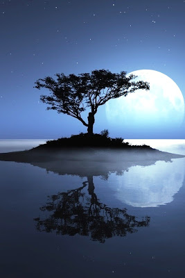 Jueves, 25 de octubre de 2012 ¡Se feliz ahora!