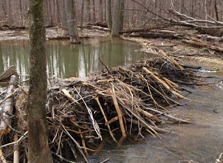 Lunes, 22 de octubre de 2012 ¡Siguiente!