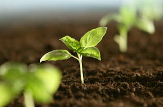 Lunes, 8 de octubre de 2012. Medidas extremas