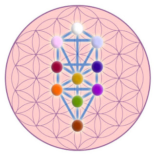 Viernes, 28 de diciembre de 2012 Sacrifícate por otros