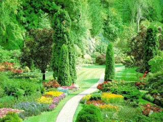 Viernes, 25 de enero de 2013 Días “bajos”