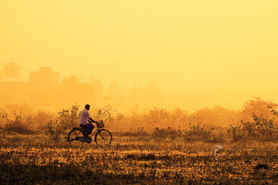 Del 20 al 26 de enero de 2013. Sólo Luz