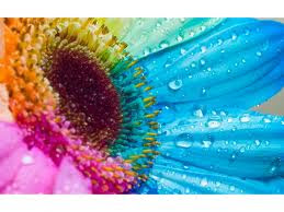 Jueves, 28 de febrero de 2013. Ünico.