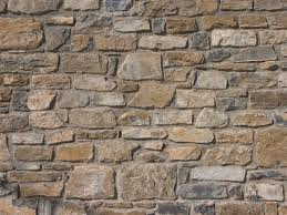 Del 17 al 23 de marzo de 2013 Nuestro verdadero trabajo