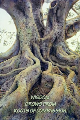 Martes, 16 de abril de 2013 Cómo volvernos seres sin límites