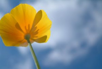 Sábado, 20 de abril de 2013. Cuarto día.