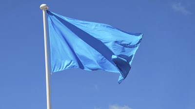 Michael Berg, Inspirando el cambio. El secreto de las banderas