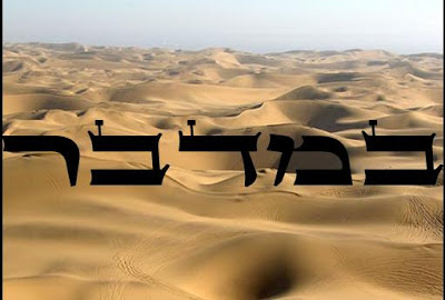 Del 5 al 11 de mayo de 2013. El camino hacia una mejor vida