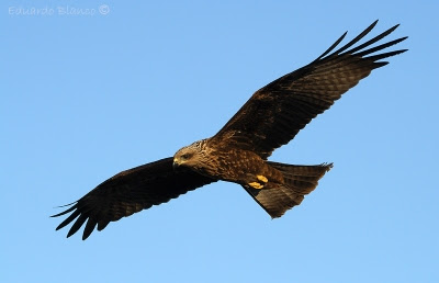 Miércoles, 22 de mayo de 2013 Controlar nuestro destino
