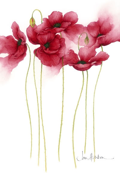 Lunes, 15 de julio de 2013 La importancia de enfrentar nuestros temores