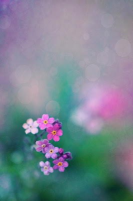 Viernes, 2 de agosto de 2013 Una pequeña acción positiva