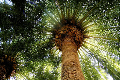 Miércoles 18 Septiembre 2013. Las bendiciones se revelan en dos etapas.