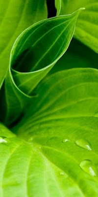 Lunes, 16 de septiembre de 2013 La vida fue hecha para vivirla