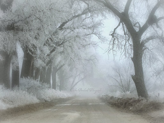 Miércoles, 9 de octubre de 2013  Los mejores días