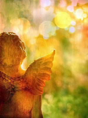 Viernes, 15 de noviembre de 2013 En el proceso