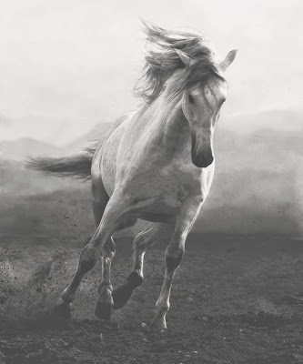 Lunes, 11 de noviembre de 2013 Estar allí.