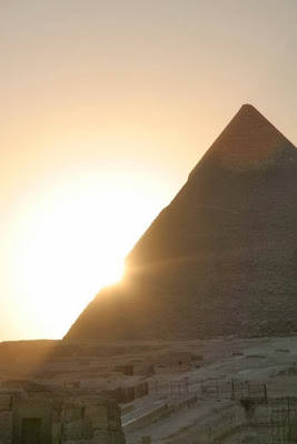 Del 8 al 14 de diciembre de 2013 Consciencia Semanal