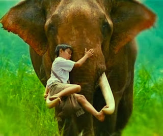 Del 15 al 21 de diciembre de 2013 La bendición de la adversidad