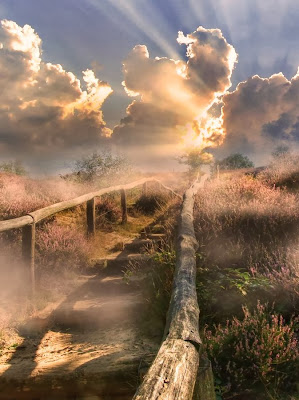 Viernes, 6 de diciembre de 2013  Lo que te mereces